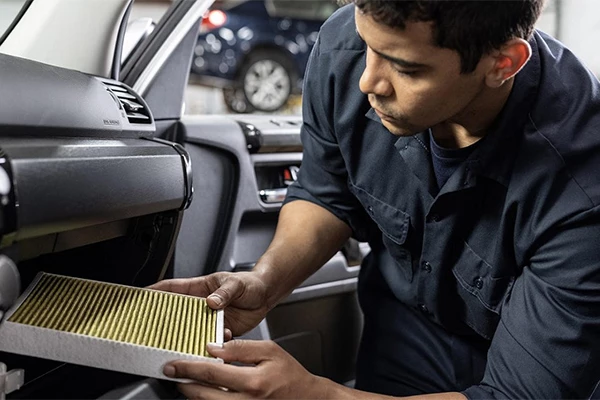 Overview of the Global Automotive Cabin Air Filter Market